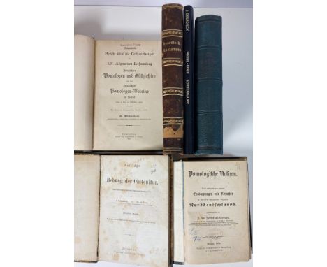FRUIT GROWING -- KOCH, K. Die deutschen Obstgehölze. Vorlesungen gehalten zu Berlin im (…) 1875/76. 1876. 2 in 1 vol. Cont. h