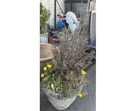 A concrete garden pot