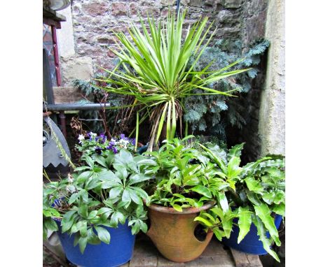 A quantity of contemporary garden planters of varying size and design to include a blue glazed ribbed example, (mainly all co