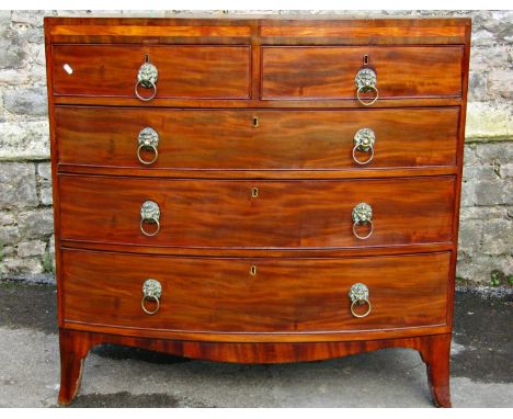 Regency mahogany bow fronted chest of three long and two short drawers, the caddy top with inlaid detail raised on swept supp