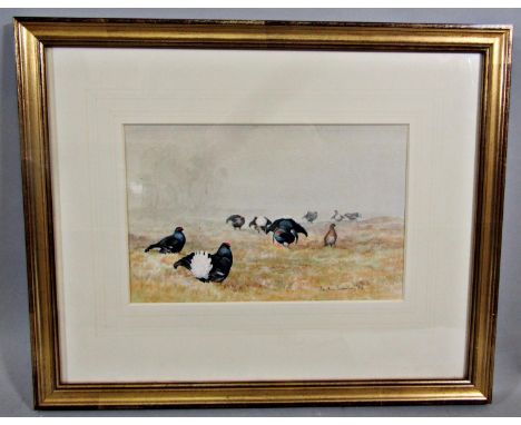 Jonathan Sainsbury (British B.1951) - Blackgame at the Lek, watercolour and bodycolour on paper, signed and dated 86 with Wil