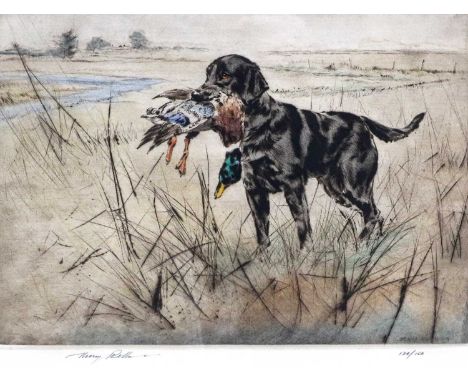 Henry Wilkinson"Labrador" 19/200"Black Labrador" 136/150"Black Labrador" 107/150"Springer Spaniels" 38/150"Cocker Spaniels" 5