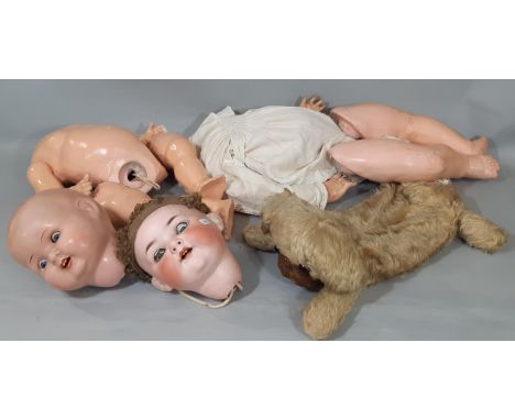 2 antique bisque head dolls for restoration; Heubach doll with blue closing eyes and flicker tongue mould 320.9 (visible hair