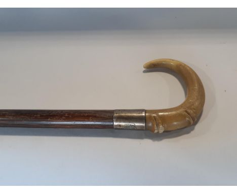 A horn handle walking stick with a monogrammed silver metal band, 81cm approx 