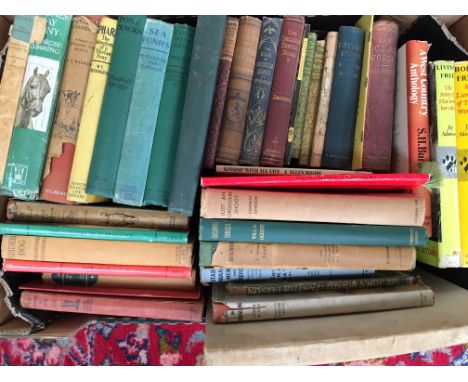 Various countryside books to include Equestrian and Dog interest, Rudyard Kipling, 'My Hunting Sketchbook' illustrated and wr