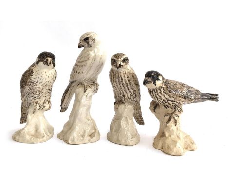 A group of four ceramic sculptures of a seated male peregrine falcon, merlin, kestrel, and hobby, the tallest 23cmH, all mark