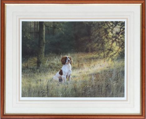 After Steven Townsend, portrait of a spaniel in a field, limited edition 352/600, signed and numbered in pencil with studio b