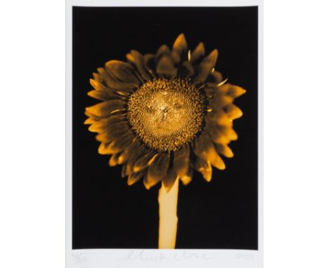 Chuck Close (1940-2021)Untitled (Sunflower)Pigment print in colours, 2011, signed and dated in pencil, numbered from the edit