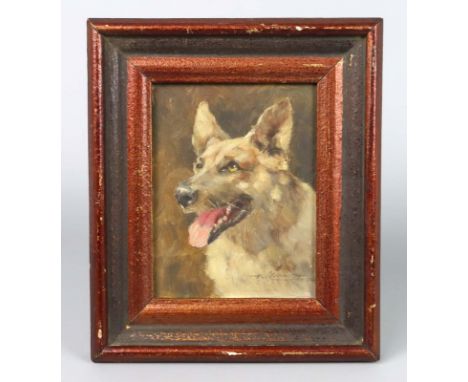 Deutscher Schäferhund - Münnich, Hans Öl auf Hartfaser, rechts unten signiert H. Münnich Chtz., umseitig montierter Namensver