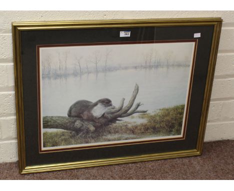'The Otter', Campbell Black limited edition colour print signed and numbered 148/500 in pencil 41cm x 59cm Condition Report C