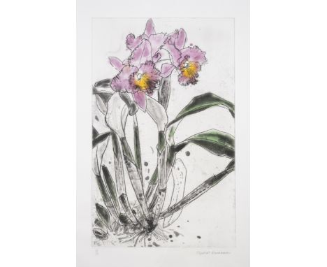 Elizabeth Blackadder (1931-2021)Orchid (Allan 18)Etching with aquatint printed in colours, 1985, signed in pencil, numbered f