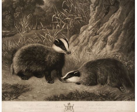 * Turner (Charles). To the Honourable George Welbore Agar Ellis..., Badgers..., This Plate is by Permission most humbly inscr