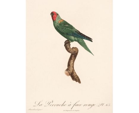 * Natural History. A collection of approximately 150 prints, 18th &amp; 19th century, engravings and lithographs of trees, bi