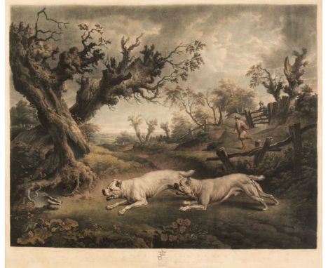 * Earlom (Richard). Bulldogs and Badger, from a Cabinet Picture in the Possession of Wm. Surtees, Lambe &amp; Son, circa 1820