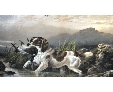 After S.E. Brittan, A Retriever, chromolithograph, 24 x 37cms, a companion print of a Pointer and a pair of landscapes, (4).