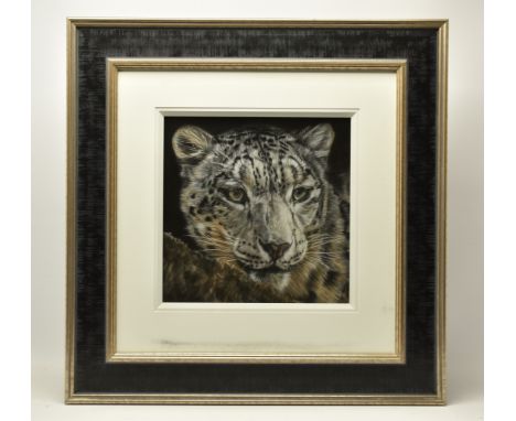 VALERIE SIMMS (BRITISH 1965) 'EMERGENCE', a portrait of a Snow Leopard, signed bottom right, pastel on paper, approximate siz