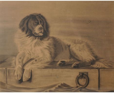 After Edwin Henry Landseer (1802-1873) British. ‘A Distinguished Member of the Humane Society’, Print, in a Cushioned Maple F