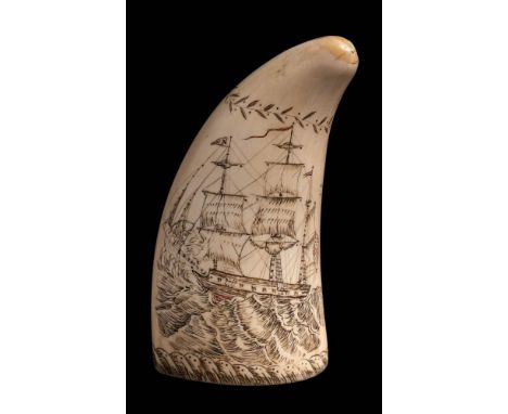 An erotic scrimshaw decorated tooth:, one side with an image of a half dressed woman, the reverse with a portrait of a ship o