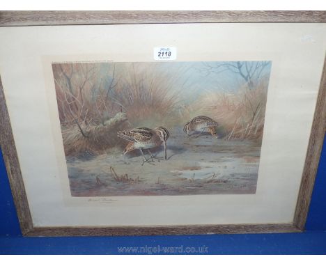 A 1923 Print of Snipe, pencil signed Archibald Thorburn, in a limed oak frame