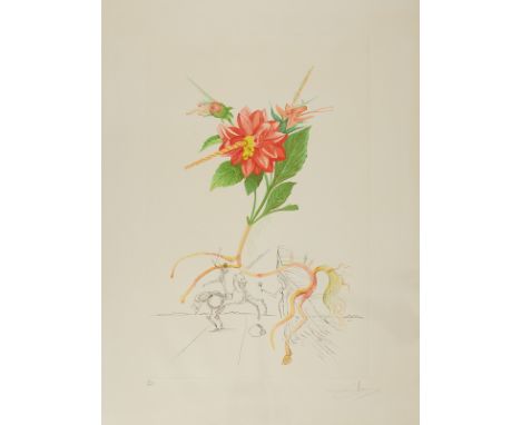 Salvador Dali (Spanish, 1904-1989). Aquatint on paper titled "Dahlia Unicornis" from the "Flora Dalinae (FlorDali)" suite, 19