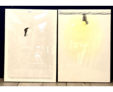 Alfred Hofkunst (Austrian School 1942-2004), Two Limited edition prints, The Yellow light Bulb, and Light Bulb with flies, ea