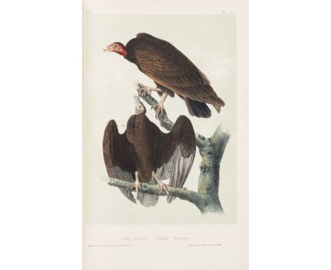 Birds.- Audubon (John James) The Birds of America, from Drawings made in the United States and their Territories, 7 vol., re-