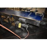 Transfer Conveyor, Motorized, 48 in. x 25 in. Wide