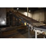 BMI Motorized Conveyor, Approx. 14 ft. Length x 32 in. Wide, Adjustable Steel Leg Base