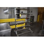 Stainless Steel Rack, 72 in. Height, 4-Wheel Base