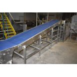 Conveyor - Motorized Incline, Approx. 12 ft. Length x 25 in. Wide, SS Frame
