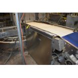Bakery Dough Reciprocator, SS Frame, Approx. 8 ft. Length x 24 in. Belt