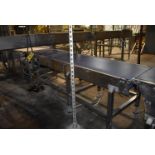 Motorized Conveyor, 9 ft. Length x 25 in. Wide Belt, SS Frame