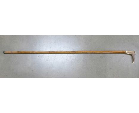 A walking stick with antler handle 