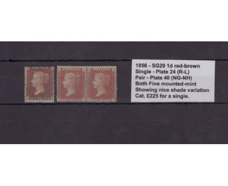 GB - 1856 SG29 Penny Red-brown Single Plate 24 (R-L), Pair Plate 40 (NG-NH), both Fine mounted mint showing nice shade variat