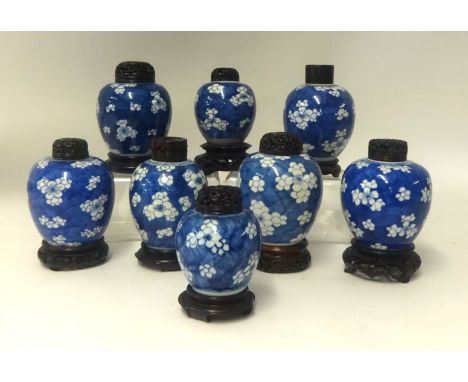 A collection of eight Chinese Prunus jars with wood covers Kangxi period, the porcelain 13cm max
