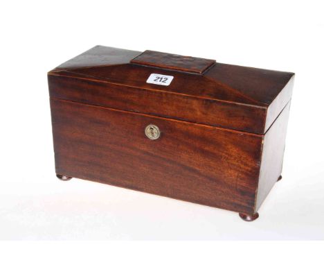 Victorian mahogany sarcophagus tea caddy