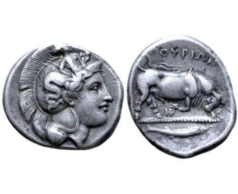 Lucania, Thourioi AR Stater. Circa 400-350 BC. Head of Athena right, wearing crested Attic helmet decorated with Skylla / Bul