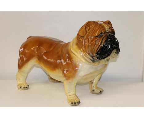 A large ceramic English bull dog figure. 50cm tall x 75cm long 