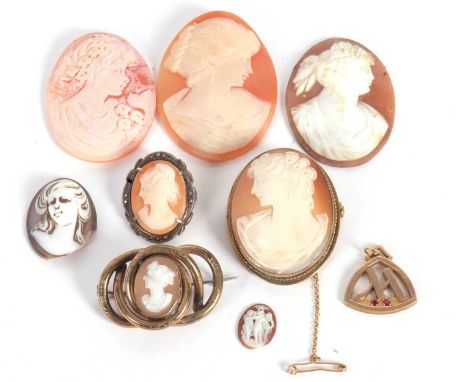 A quantity of cameos, to include an oval shell cameo in gilt metal mount, a late 19th Victorian knot style cameo set brooch, 