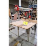 OMGA RN 600, RADIAL ARM SAW - (CONDITION UNKNOWN)