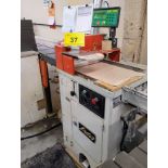 LOBO UP-ACTING CUT-OFF SAW W/ IN/OUTFEED CONVEYORS, PISTORIUS SCREEN CONTROL, TIGER STOP SYSTEMS
