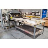 PEGBOARD MECHANICAL PUNCH, S/N 10176 W/ IN-OUT FEED CONVEYORS, 48"W