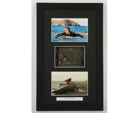 The Shallows (2016) - A Piece of Prop Whale Carcass used in the Film starring Blake Lively. Foam resin with painted detailing