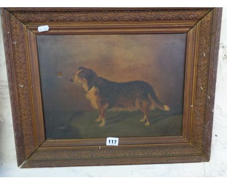 Victorian oil on canvas of a Collie dog, signed K BIDWELL, (small tear), dated 1889