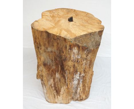 LARGE TREE SECTION
inset with a masonary chisel, 92cm high 
Note: Originally used to break stone and marble for mosaics.  