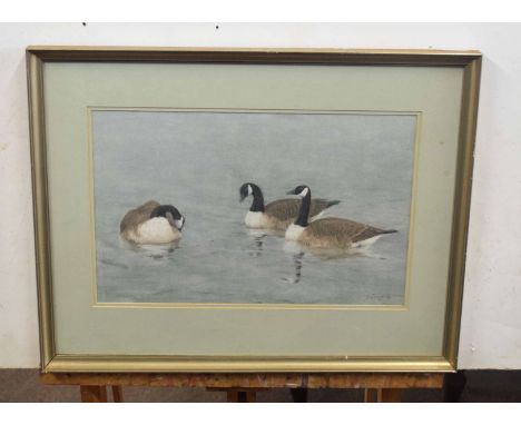 M Cargill (British 20C), A gaggle of Canadian Geese. Watercolour, signed. Approx 10x16 inches.