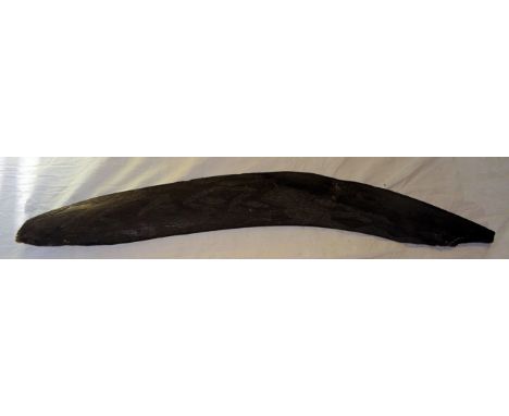 An Australian Aboriginal Boomerang with incised linear decoration. 21" (53cms) long, damaged both ends. 
