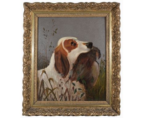 Early 20th C. Painting of Hunting Dog w/ Pheasant.Oil on board.  Appears to be unsigned.  Has not been examined out of frame.