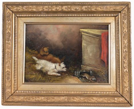 Edward George Armfield (British, 1817 - 1896)Painting of Terriers watching a mouse trap.Oil on Board. Signed lower left.Sight
