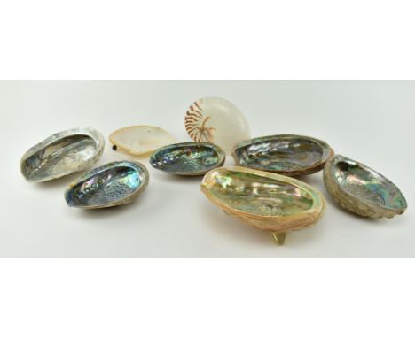 Natural history interest - a collection of eight abalone shells, along with a Nautilus shell and a mother of pearl soap dish 